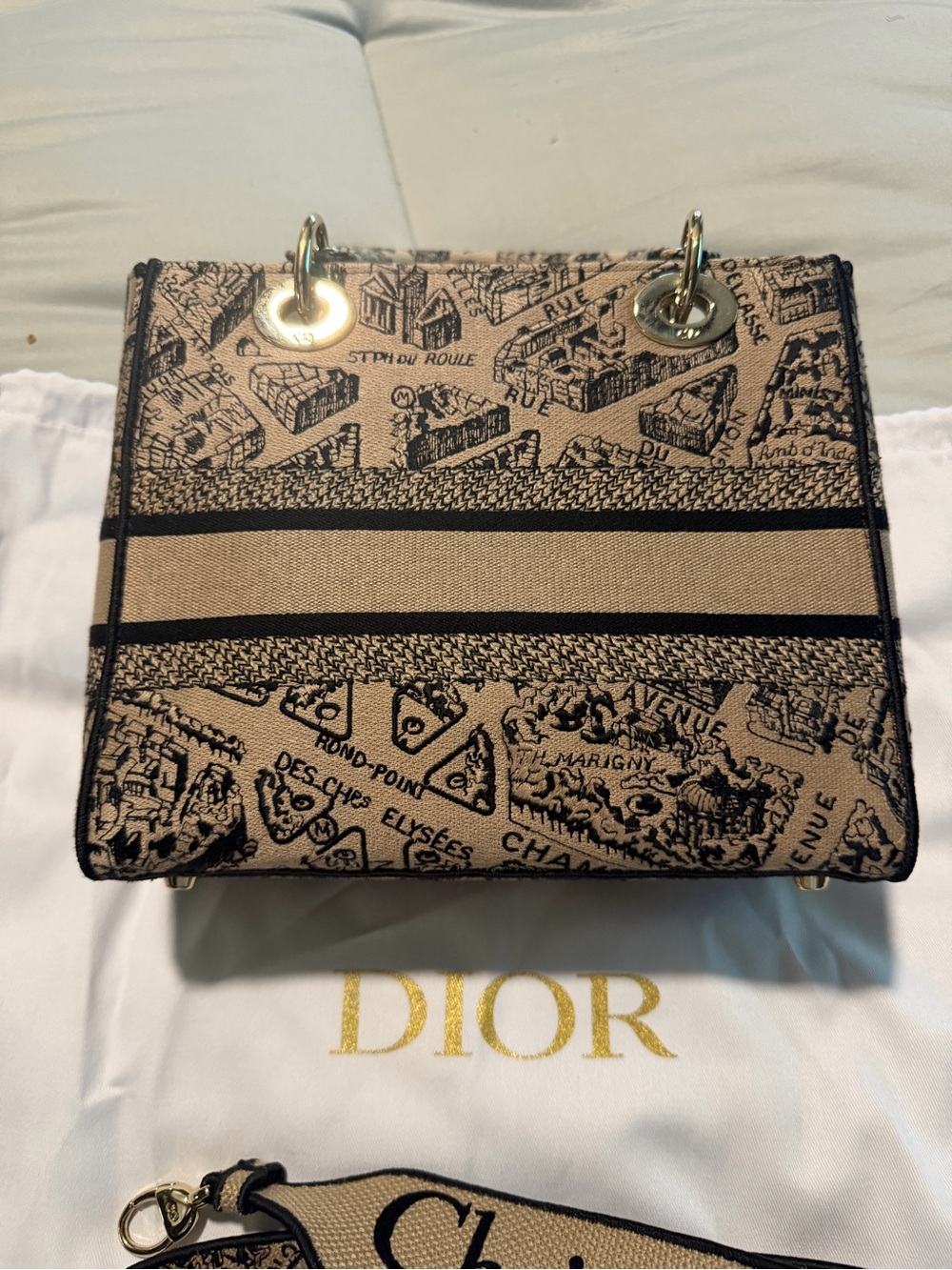 🔥 AUTHENTIC DIOR LADY D-LITE – PLAN DE PARIS – MEDIUM 🔥 - Picture 7 of 12